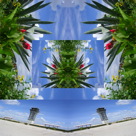 Bontanical-Minds-2